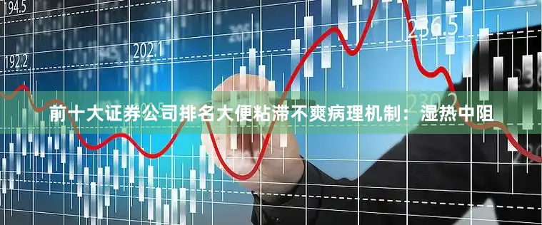 前十大证券公司排名大便粘滞不爽病理机制：湿热中阻