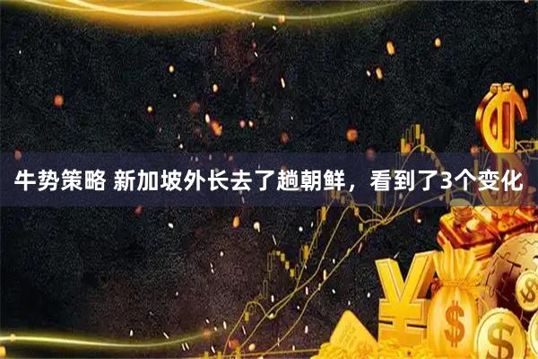 牛势策略 新加坡外长去了趟朝鲜，看到了3个变化