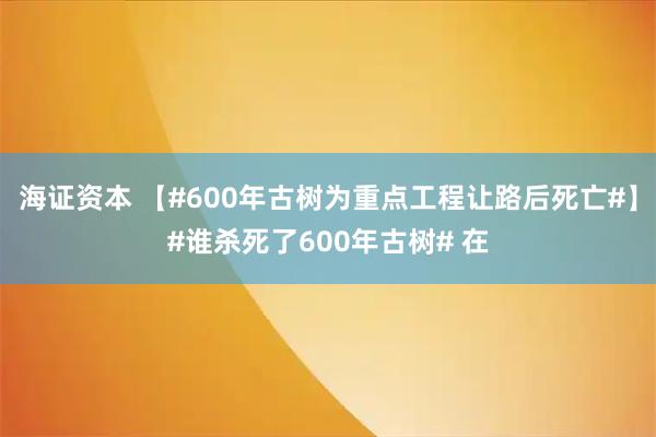海证资本 【#600年古树为重点工程让路后死亡#】#谁杀死了600年古树# 在