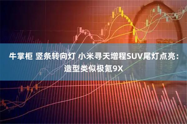 牛掌柜 竖条转向灯 小米寻天增程SUV尾灯点亮：造型类似极氪9X