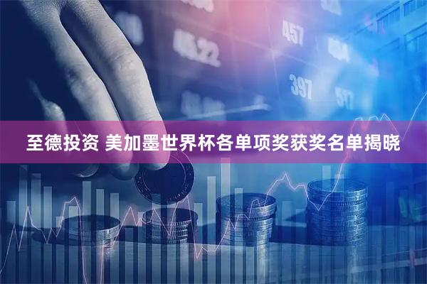 至德投资 美加墨世界杯各单项奖获奖名单揭晓